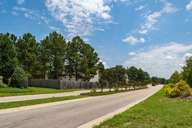 390 Summer Wind Way, Aberdeen, NC 28315 - photo 4