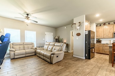 250 Poinsetta Dr, Palmer, TX 75152 - photo 7