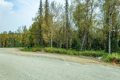 IMG_5247 - Copy