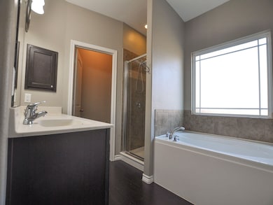 Primary bath double vanity