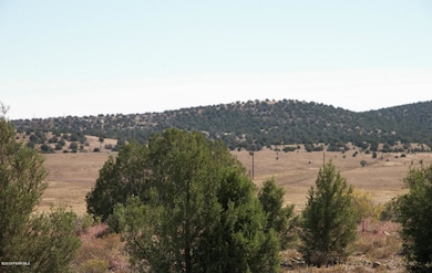 0 Juniper Ridge Rd unit 1014613, Paulden, AZ 86334 - photo 6