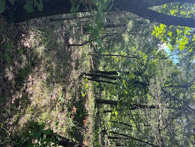 Tract 1 SE 1083 Road Ave, Red Oak, OK 74563 - photo 6