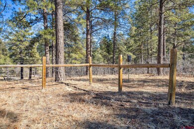 699 N Lakeside Dr, Durango, CO 81303 - photo 7