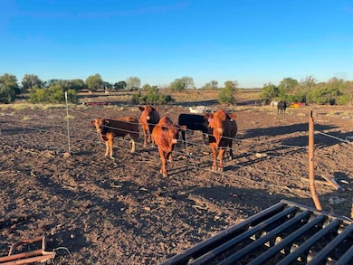 3990 SW Us Highway 77, El Dorado, KS 67042 - photo 3