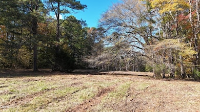 DJI_20251031135309_0161_D