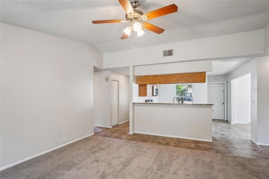 11321 Blackbark Dr, Riverview, FL 33579 - photo 5