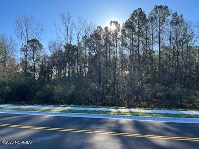 Lot 2 Commerce, Jacksonville, NC 28546 - photo 5