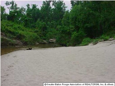 Sandy beach in back of property