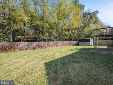 317 Polk Ave, Front Royal, VA 22630 - photo 3