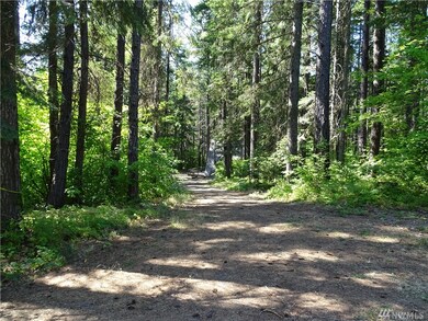 601 Wadsworth Loop, Ronald, WA 98940 - photo 2