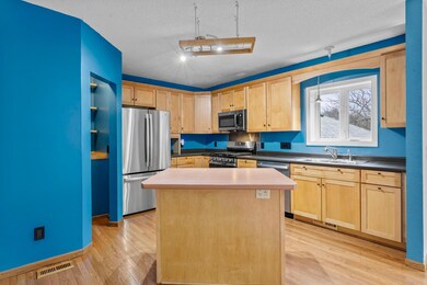 217 Primrose Ln, Cannon Falls, MN 55009 - photo 5