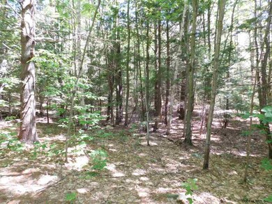 0 Slicker Rd unit Shippee Rd Rear, Day, NY 12822 - photo 4