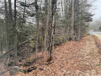 3225 George Hill Rd, Springfield, NH 03284 - photo 3