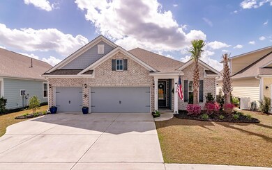 03-531 Fern Tree-71