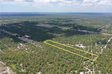 0 Frangipani Ave unit 225035722, Naples, FL 34117 - photo 2