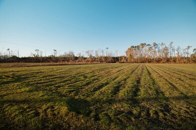 00 Chesapeak Rd, Alma, GA 31510 - photo 5