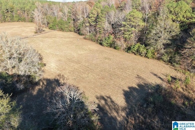 330 County Road 1055, Montevallo, AL 35115 - photo 5