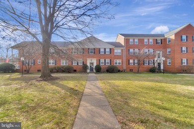 6508 Potomac Ave unit A1, Alexandria, VA 22307 - photo 6