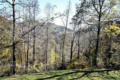 View from lot with tree trimming