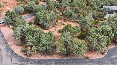 1061 Fox Hat Trail, Pine, AZ 85544 - photo 3