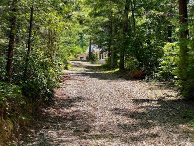 1272 Peach Orchard Way, Del Rio, TN 37727 - photo 7