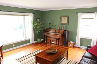 Living Room Windows