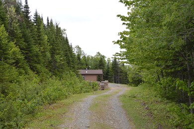 Approaching cabin