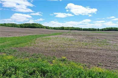 0 Horseshoe Lake Rd, Chetek, WI 54728 - photo 2