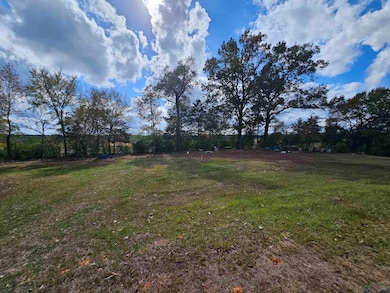 90 County Road 1110, Daingerfield, TX 75638 - photo 3