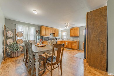 321 7th St, Lincoln, IL 62656 - photo 6