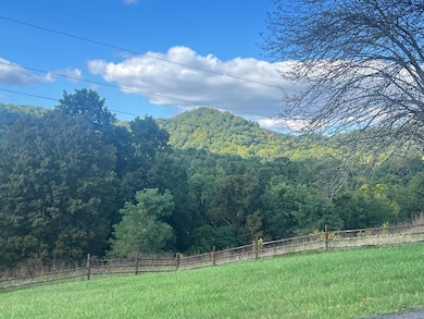 653 Todd Hollow Rd, Lebanon, VA 24266 - photo 4