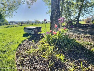 Mature Landscaping