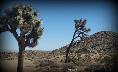 0 La Contenta Dr unit JT17000331, Joshua Tree, CA - photo 5