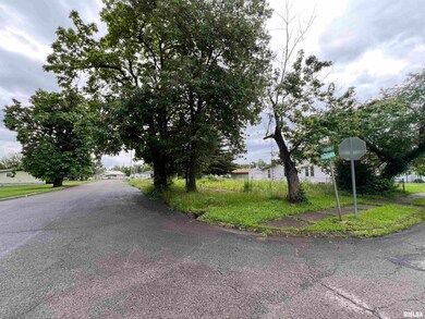 218 Elm St, Zeigler, IL 62999 - photo 4