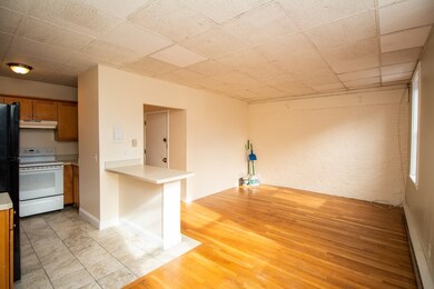 217 Washington St unit 1, Brookline, MA 02445 - photo 7