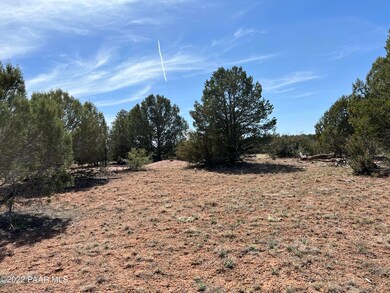 12 Lots A&c Off of Keller Place, Ash Fork, AZ 86320 - photo 2