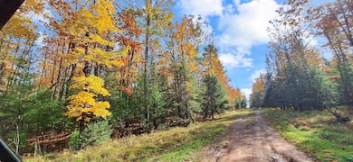 View of road