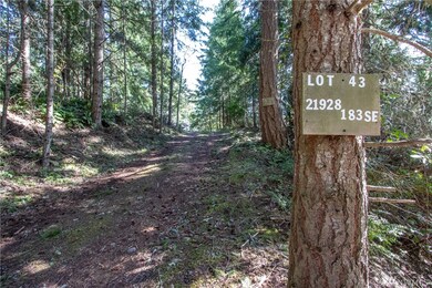 21928 183rd Ave SE, Yelm, WA 98597 - photo 7