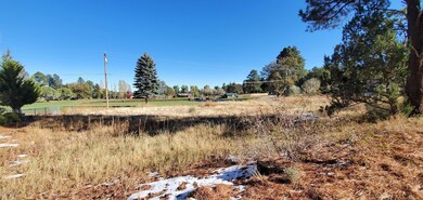 3800 W Old Linden Road