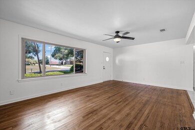 252 E Main St, van, TX 75790 - photo 6