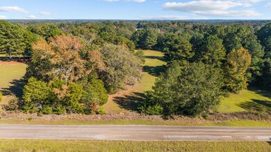 TBD County Road 2174 Lot 4, Whitehouse, TX 75791 - photo 6