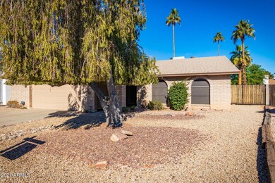 0003-Sahuaro 4