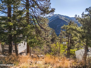 12896 N Ajo Ave unit 6, Mt. Lemmon, AZ 85619 - photo 5