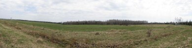 Panorama View! Click to View Larger