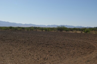 Arena 150 x 250