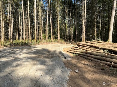 1813 394th St S, Roy, WA 98580 - photo 7