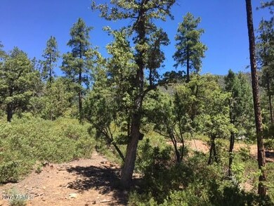 37 Strawberry Hollow Dr unit 37, Pine, AZ 85544 - photo 5