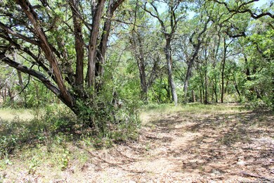 18741 Bandera Rd, Helotes, TX 78023 - photo 6