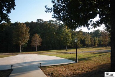 770 Carey Nelson Rd, West Monroe, LA 71292 - photo 5