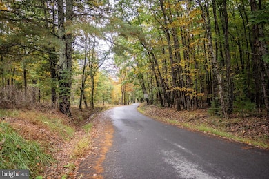 0 8.87 ACS Dry Run Rd, Sugar Grove, WV 26802 - photo 2